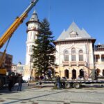 Bradul de Crăciun. Viceprimarul Apostu așteaptă donații de la buzoieni