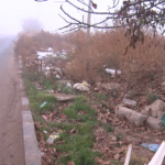 Gunoiul de sub preș. Șoseaua Vadu Pașii, depozit ilegal de gunoaie