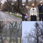 Comisie mixtă, în Parcul Crâng. S-a explicat din nou de ce se aud drujbele în pădure