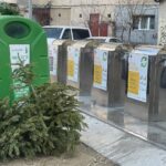 Campanie de colectare a brazilor naturali