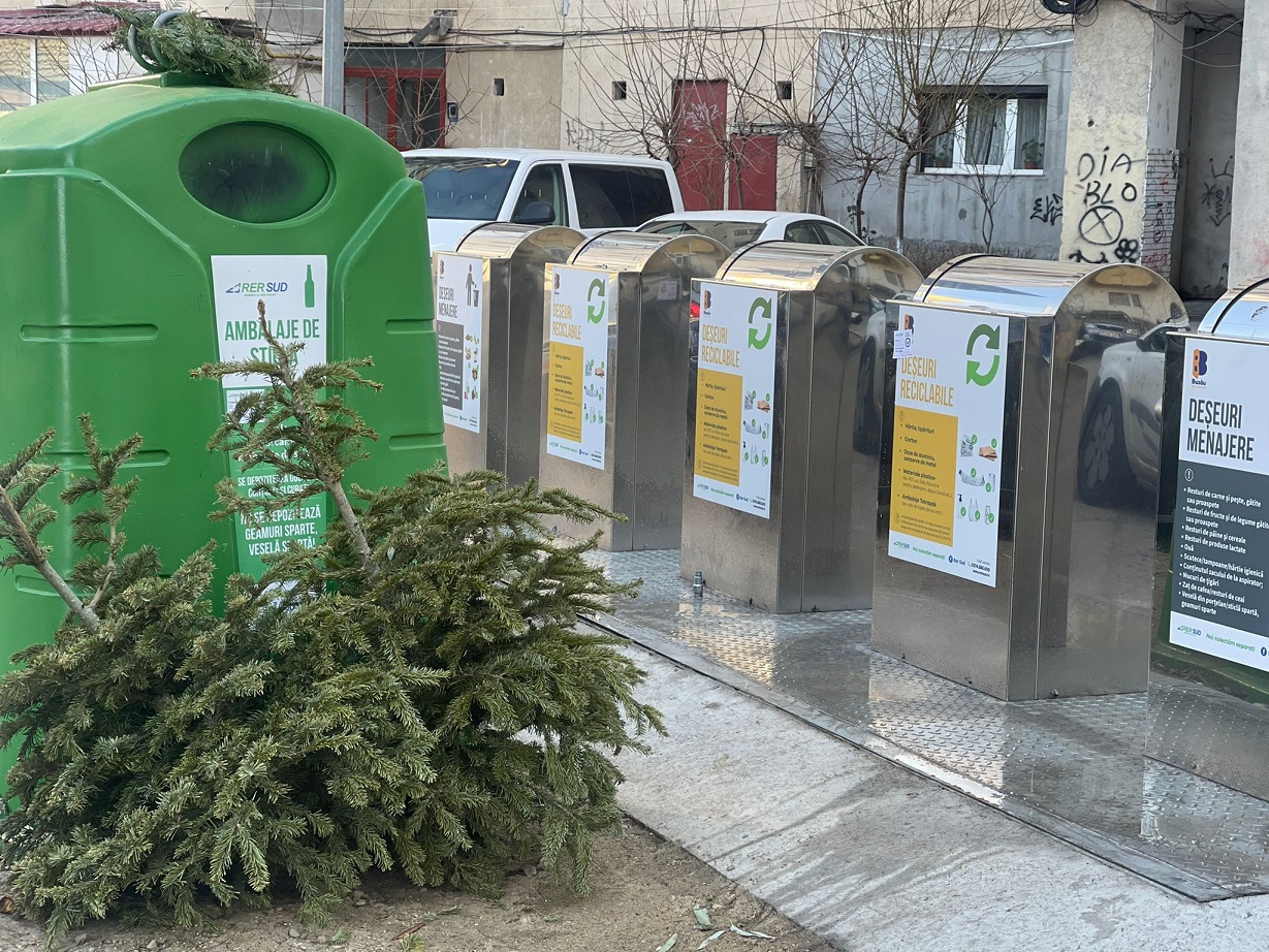 Campanie de colectare a brazilor naturali
