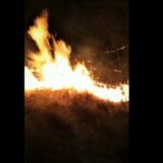 (VIDEO) Se caută piromanul! Incendiu mare la Scorțoasa