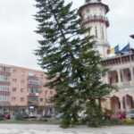 A dispărut bradul din Piața Dacia. Va fi transformat în apă tonică aromatizată
