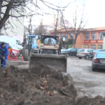 Se scot gardurile vii. Spațiile verzi vor fi mai estetice neîngrădite