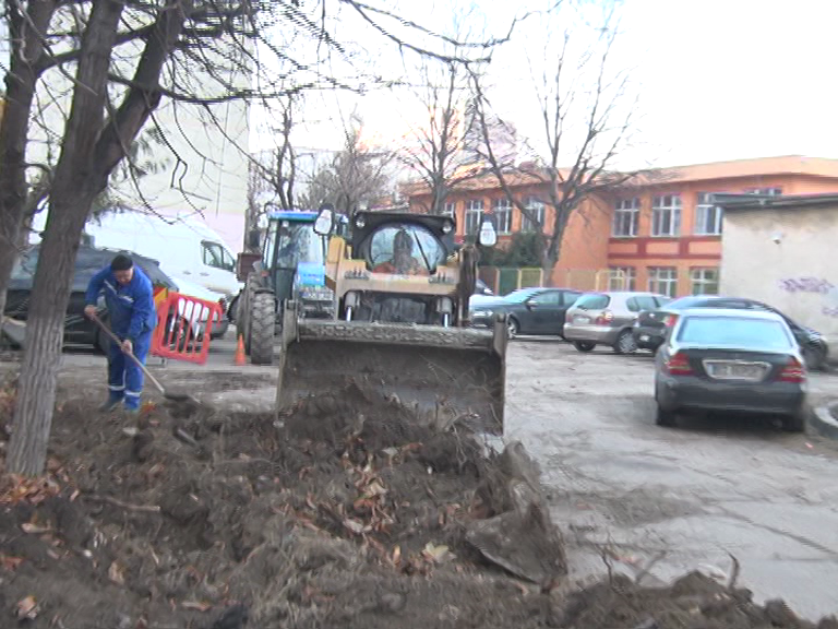Se scot gardurile vii. Spațiile verzi vor fi mai estetice neîngrădite