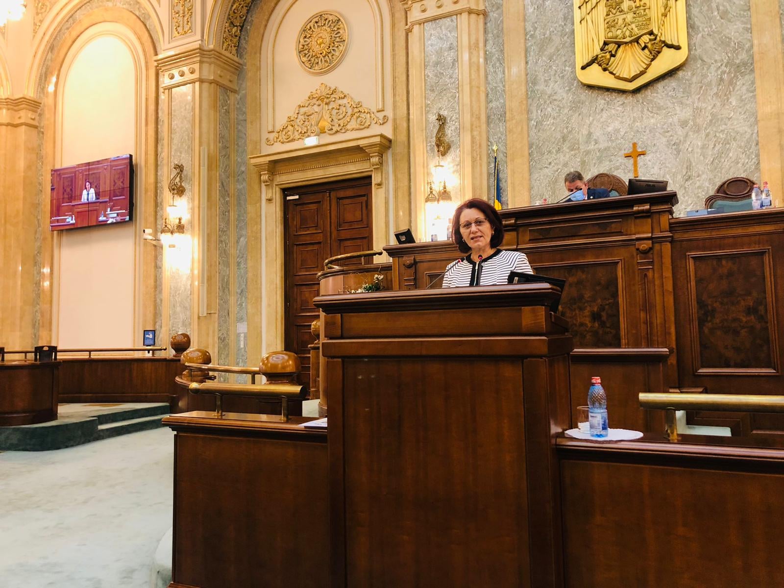 (VIDEO) Senatoarea Sbîrnea, „bruiată” de Șoșoacă