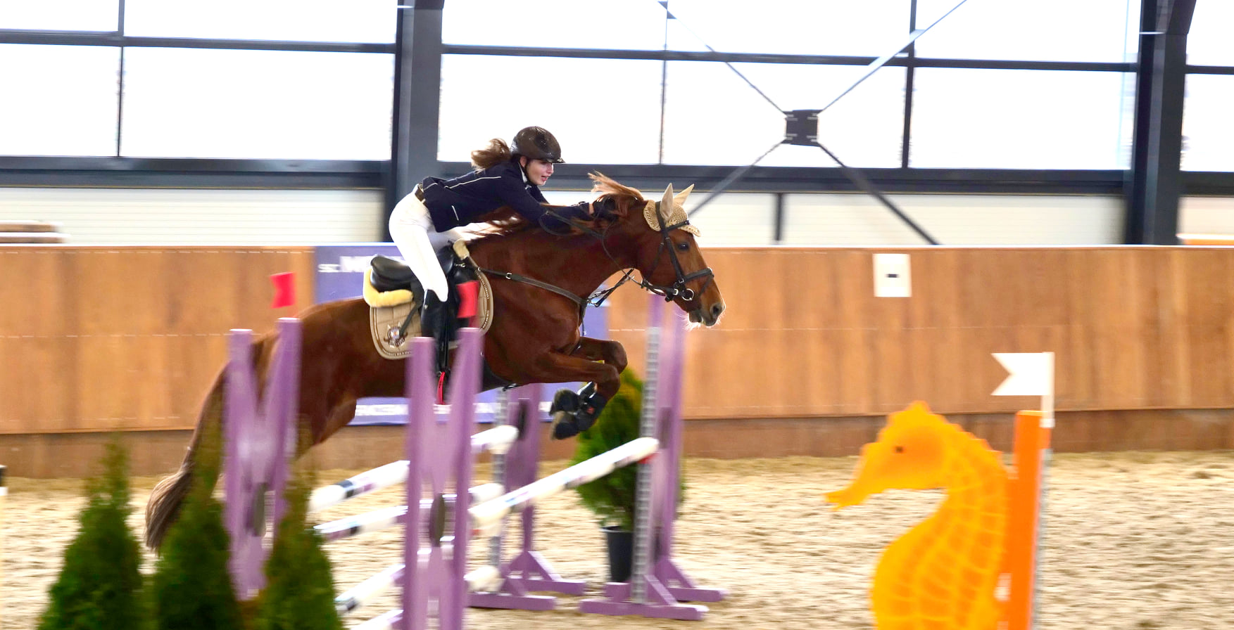 (VIDEO) Concurs de echitație la Buzău