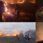 (VIDEO) Prefect: "Vom face plângeri penale!"