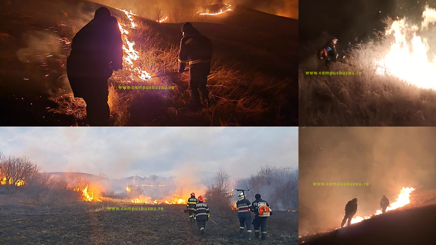 (VIDEO) Prefect: „Vom face plângeri penale!”
