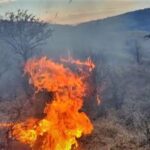 (VIDEO) Incendiu de proporții! Ard dealurile dintre Scorțoasa și Beceni