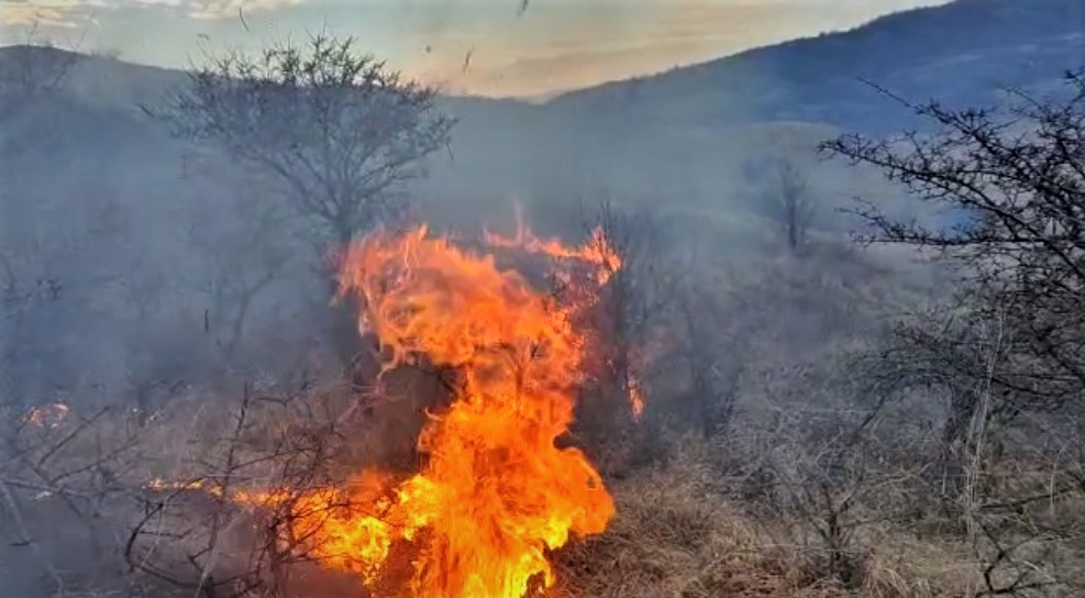 (VIDEO) Incendiu de proporții! Ard dealurile dintre Scorțoasa și Beceni