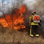 (VIDEO) Un nou val de incendii de vegetație uscată