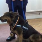 (VIDEO) Câinele polițist Rik a ieșit la pensie