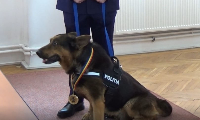 (VIDEO) Câinele polițist Rik a ieșit la pensie