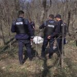 (VIDEO) Descoperire macabră. Zeci de pisici moarte, găsite în Crâng