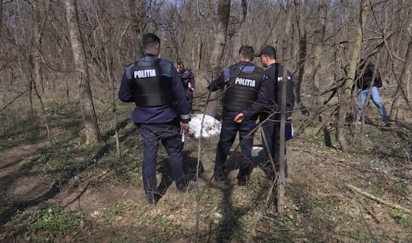 (VIDEO) Descoperire macabră. Zeci de pisici moarte, găsite în Crâng
