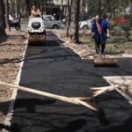 (VIDEO) Eliminarea gardurilor vii, subiect reluat. Ce explică primarul