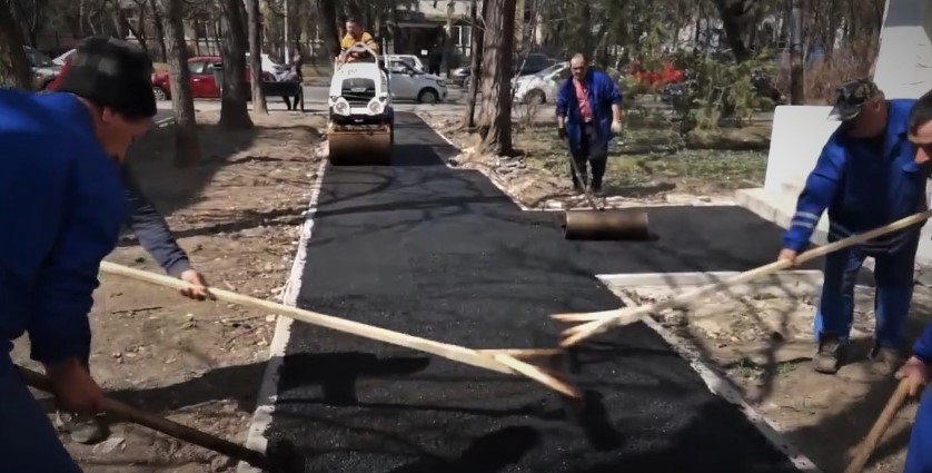 (VIDEO) Eliminarea gardurilor vii, subiect reluat. Ce explică primarul