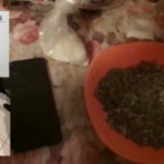 Rețea de trafic de droguri, destructurată. Cel mai tânar traficant avea 16 ani