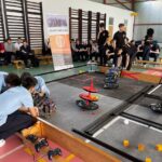 Let's make Hasdeu breathe again! Activități inedite, de Ziua Porților Deschise