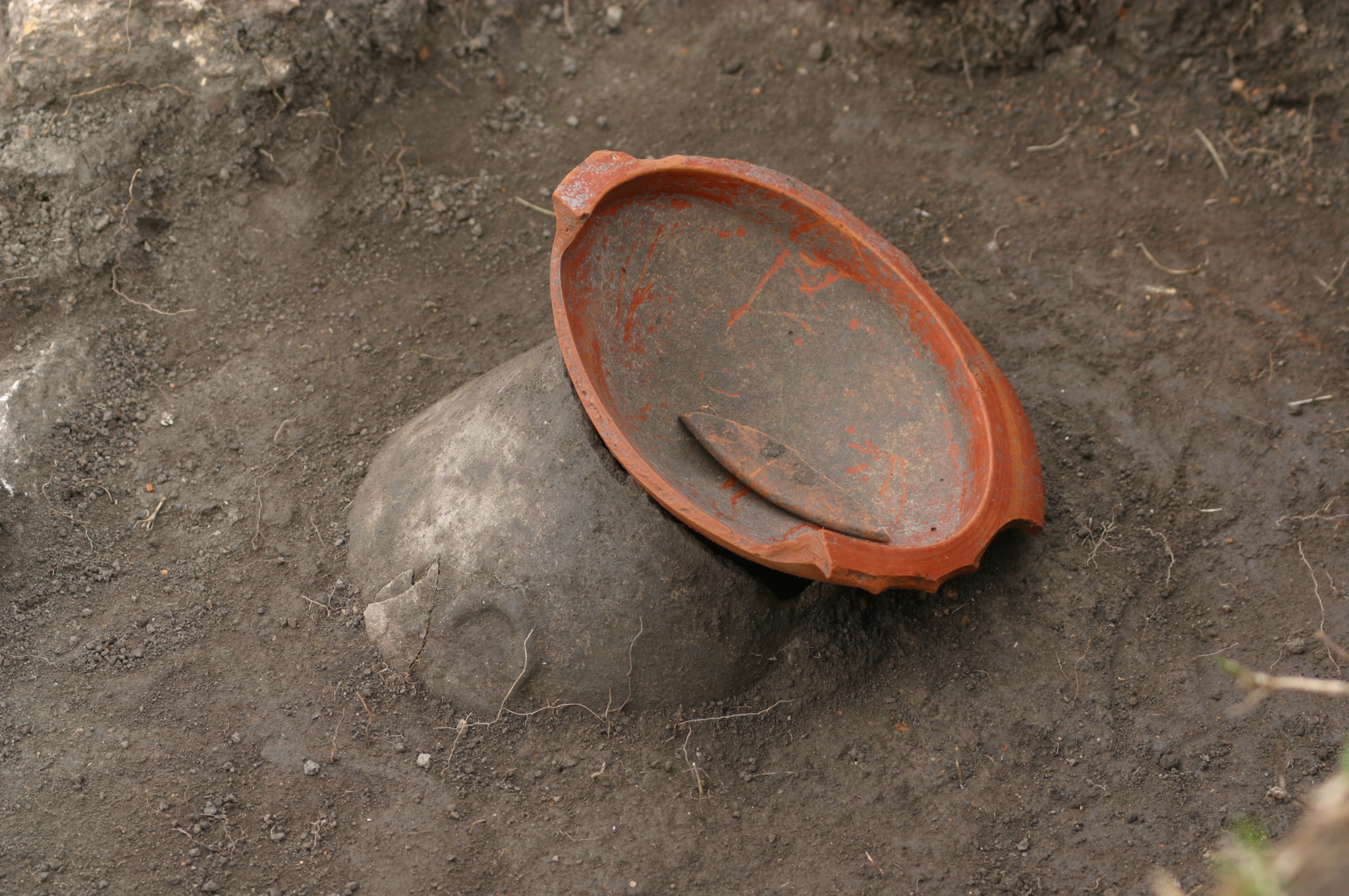 Sezonul arheologiei. Muzeul Județean începe cercetările în teren