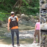 Pești morți în albia râului Bălăneasa. Autoritățile au demarat o anchetă