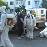 Dezinsecție la bloc. Primăria se ocupă doar de domeniul public