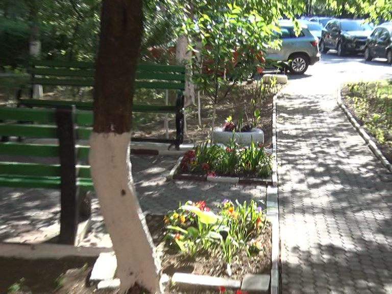 Noi vrem pământ. Acolo unde au fost scoase gardurile vii, se pun flori