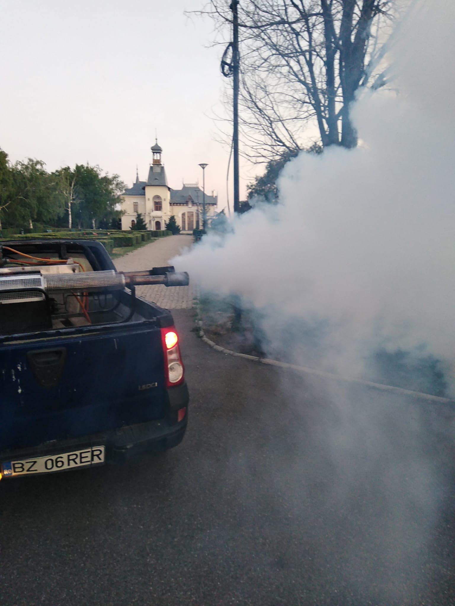 Campanie împotriva țânțarilor. Continuă dezinsecția la sol