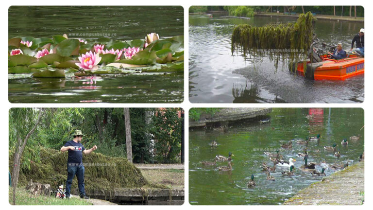 Reabilitarea lacului Heleșteu. Soluții pentru curățarea luciului de apă