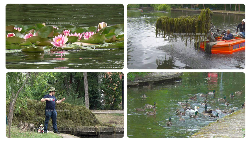 Reabilitarea lacului Heleșteu. Soluții pentru curățarea luciului de apă