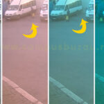 (VIDEO) Amendă record. Bărbatul a abandonat șapte cățeluși, într-o autogară din Buzău