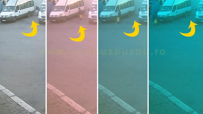 (VIDEO) Amendă record. Bărbatul a abandonat șapte cățeluși, într-o autogară din Buzău