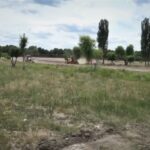 (VIDEO) Lucrări la noul parc de lângă dig