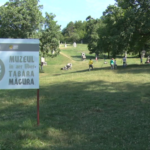 Poftiți la Tabăra Măgura! Weekend de joacă din două în două săptămâni