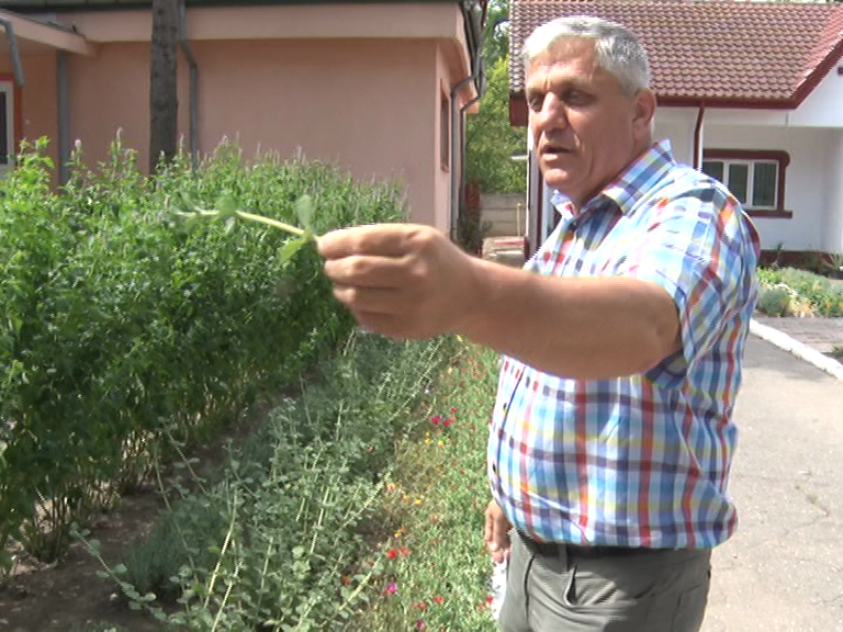Dotări pentru Banca de Gene. Laborator și spații de depozitare moderne