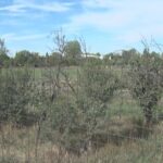 Bază de sport modernă, la Buzău. Va fi finalizată în 2023