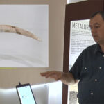 ”Primii Regi ai Europei”. Expoziție românească pe continentul american