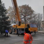 A sosit Bradul de Crăciun. Este mai mic de înălțime, dar este foarte frumos