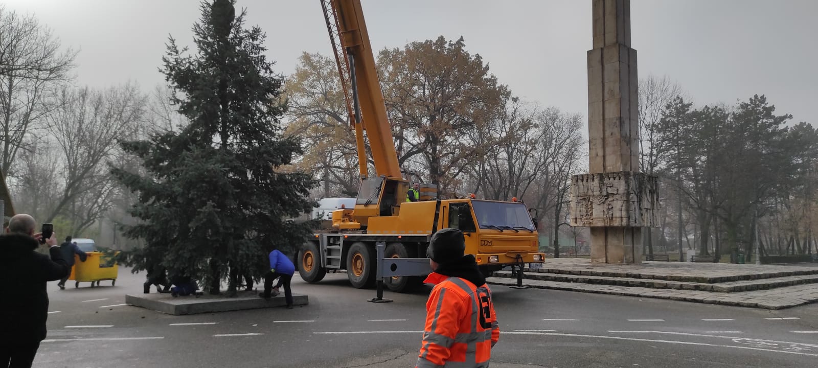 A sosit Bradul de Crăciun. Este mai mic de înălțime, dar este foarte frumos