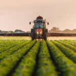 Anunţ începere derulare proiect "Grant capital de lucru AGRI-FOOD"