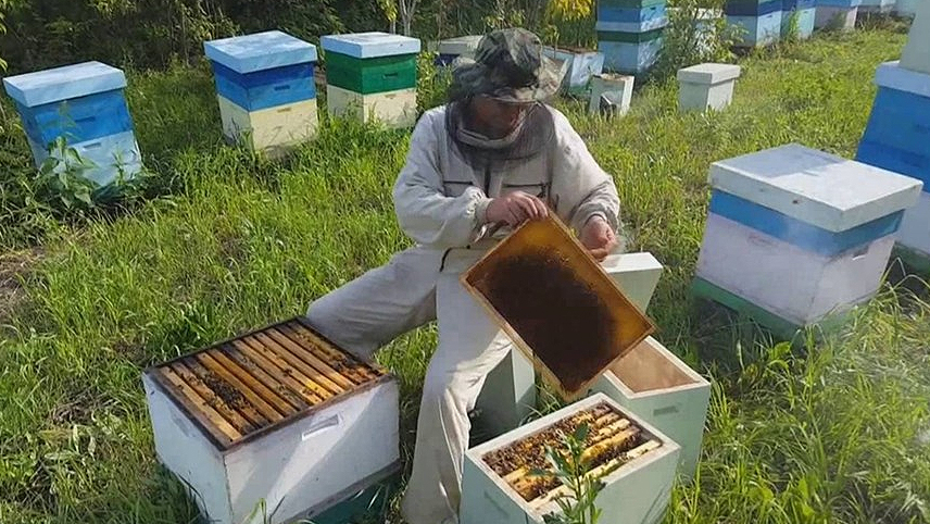 Miere fără preț. Apicultorii au stocat mierea de salcâm