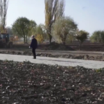 Orașul verde. Se amenajează noi parcuri și spații verzi în Municipiu