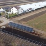 Panouri fotovoltaice, la solarii. Soluții găsite de fermieri pentru a-și salva afacerile