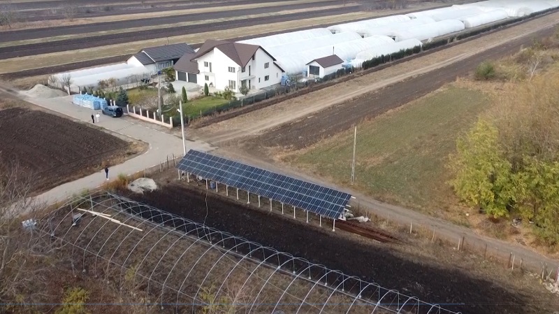 Panouri fotovoltaice, la solarii. Soluții găsite de fermieri pentru a-și salva afacerile