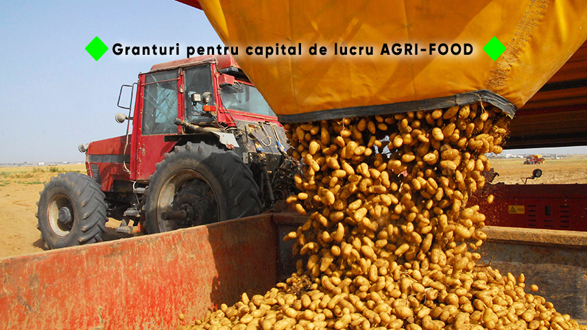 GEN MARY AGRO SRL anunță lansarea proiectului cu titlul ”Granturi pentru capital de lucru AGRI-FOOD”