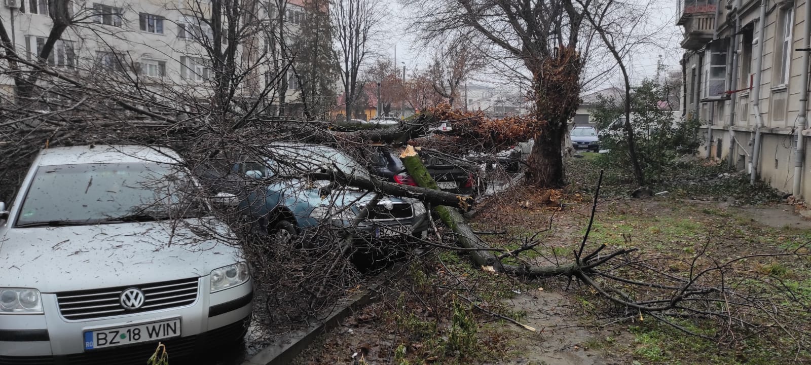 Patru dintr-o lovitură. Un copac s-a prăbușit peste câteva mașini.