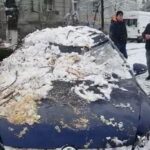 Mașini avariate de un copac. Un arbore uriaș a cedat sub greutatea zăpezii