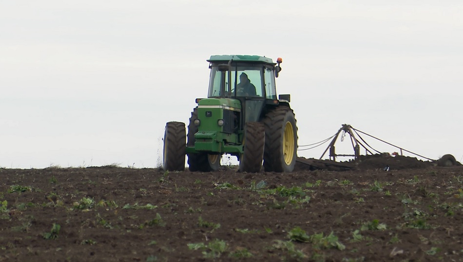 Secetă pedologică extremă! Culturi agricole, în pericol din cauza lipsei apei din sol