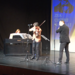 Spectacol de Ziua Culturii. Recital excepțional de muzică și poezie.